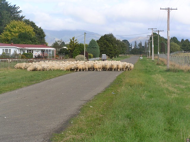 NZ leden-unor 2006 124.jpg